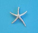 Diamond Star Fish