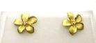 Plumeria Flower Earrings