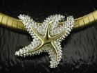 Silver Starfish Slide