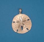 Sand Dollars