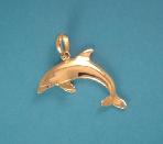 Porpoise