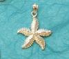 Silver Starfish