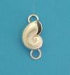 Nautilus Shell