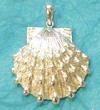 Lion's Paw Pendant