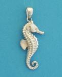 Seahorse